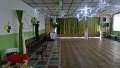 Karneval 2016    1
